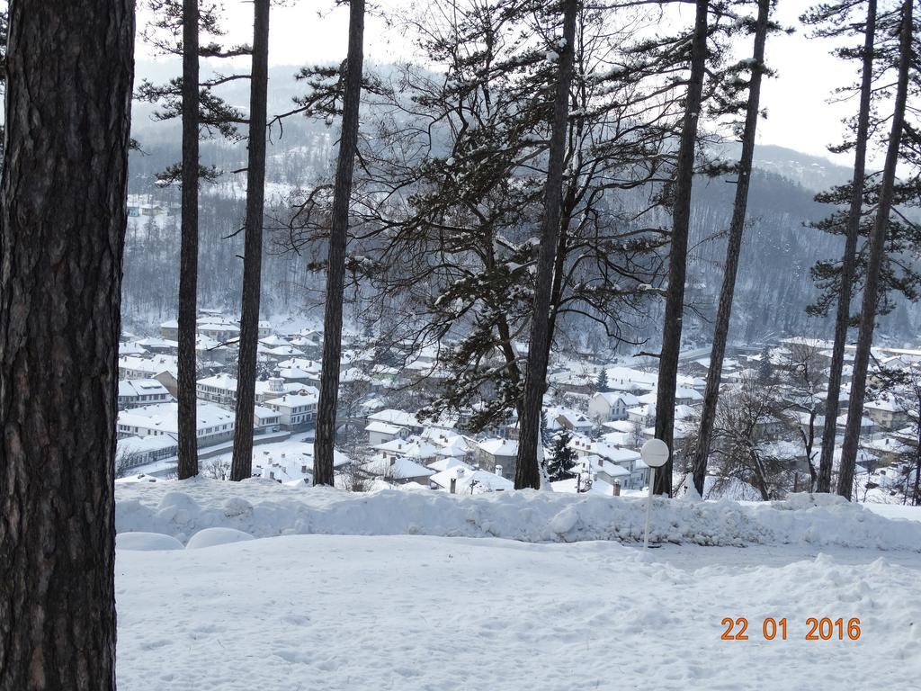 Complex Brashlyan Hotell Trjavna Exteriör bild