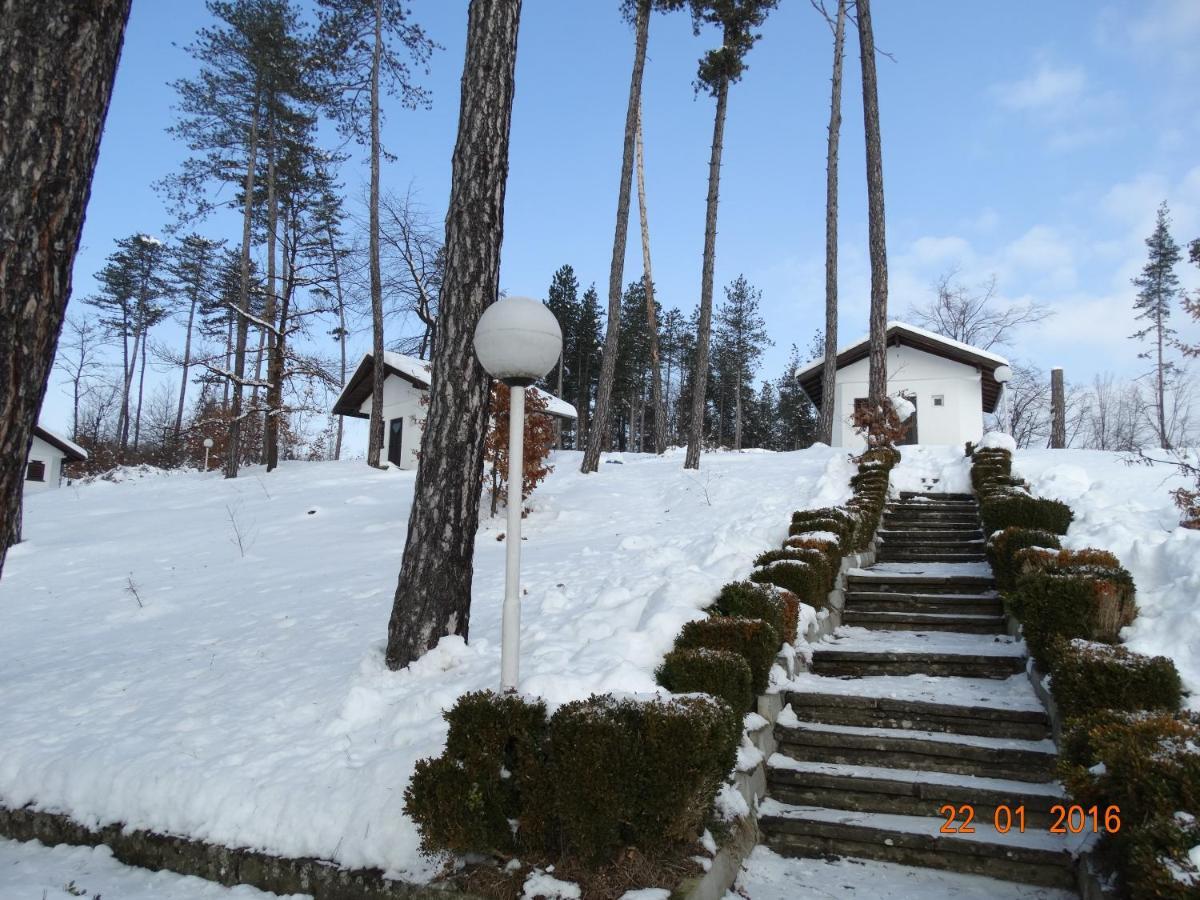 Complex Brashlyan Hotell Trjavna Rum bild