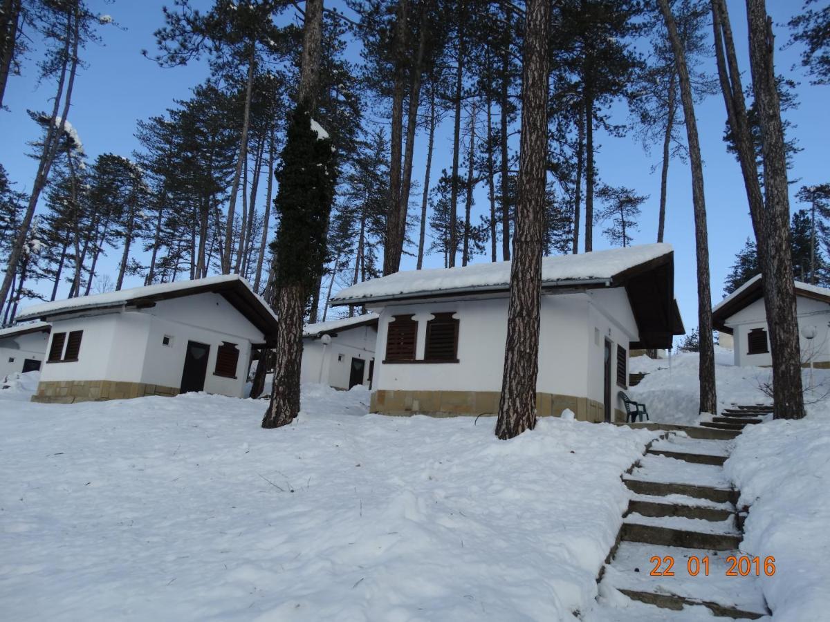 Complex Brashlyan Hotell Trjavna Rum bild